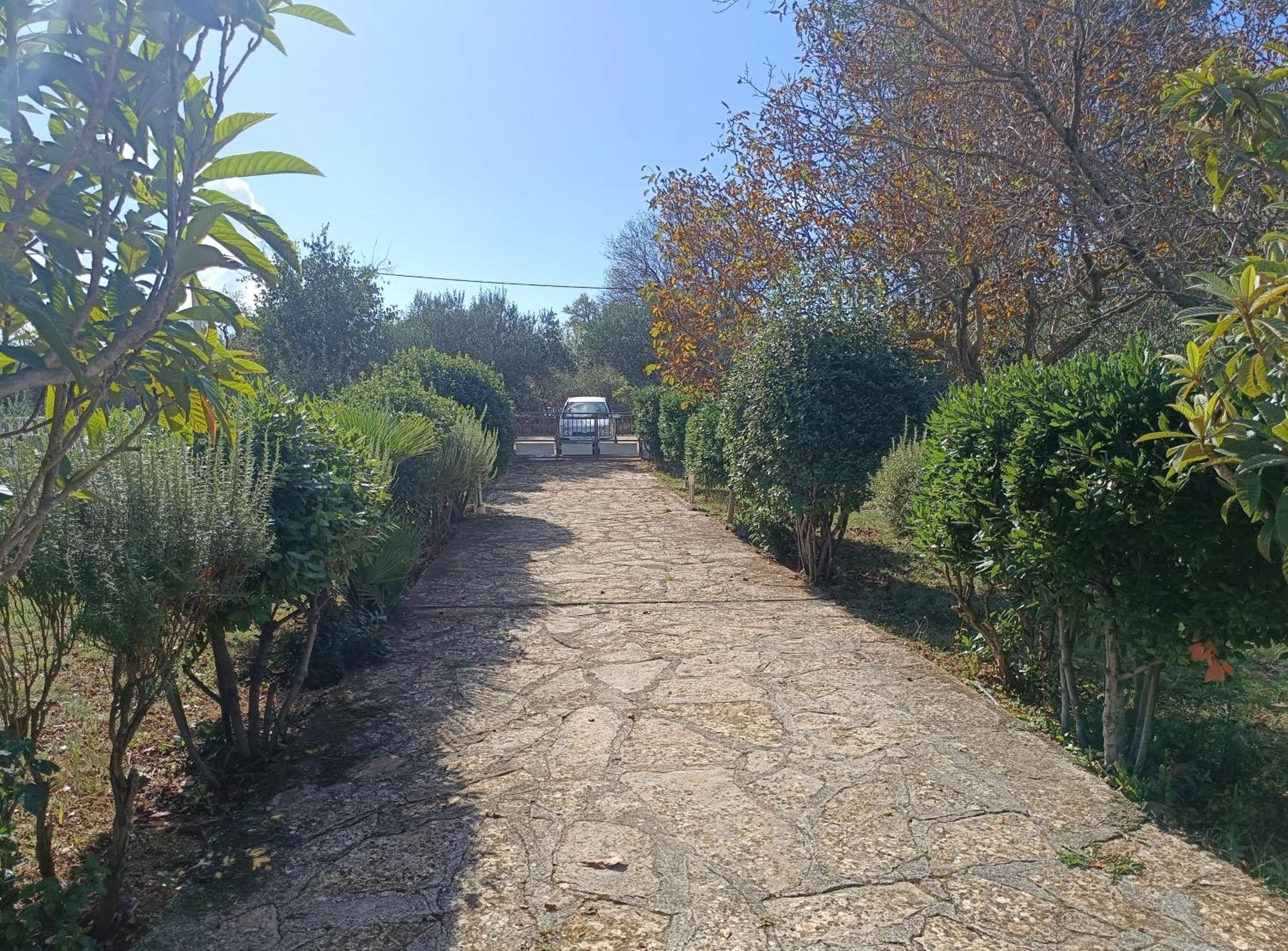 Holiday Home Visnja Benkovac Buitenkant foto